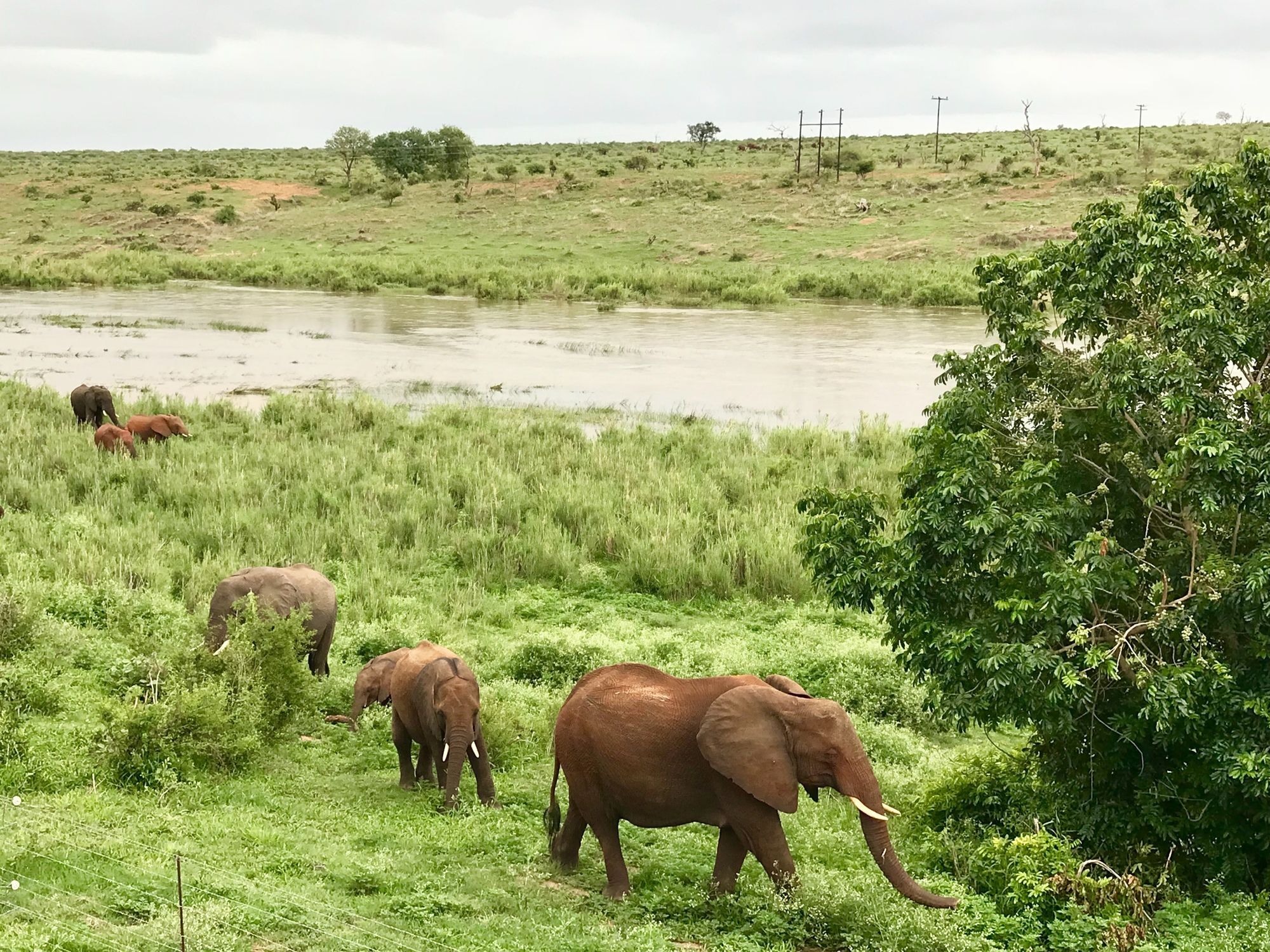 Elephant Walk Retreat Komatipoort Dış mekan fotoğraf